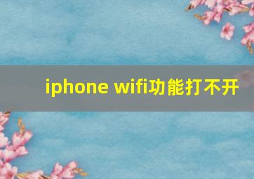 iphone wifi功能打不开